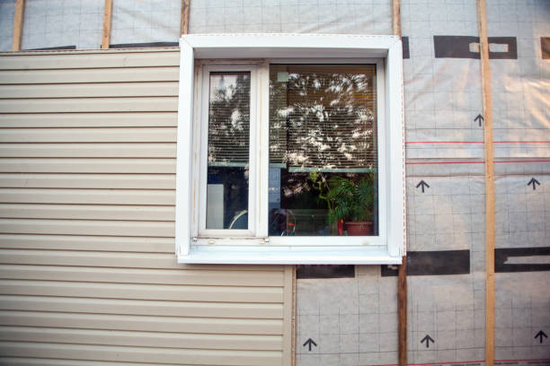 Best Insulated Siding Installation  in Shawnee, KS